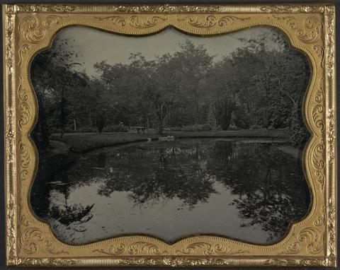 John Mercer English Country Estate, the Pond