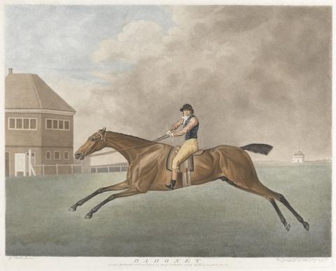 George Townly Stubbs 'Baronet'