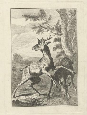 George Bickham Two Deer, a Pl. for 'A New Drawing Book...of Beasts in Various Actions' (1 of 9)