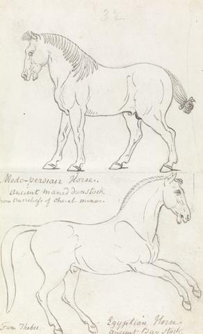 Charles Hamilton Smith Medo-Persian Horse and Egyptian Horse