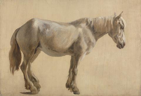 Jacques-Laurent Agasse Study of a Grey Horse