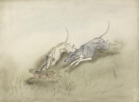 unknown artist Two Greyhounds Chasing a Hare