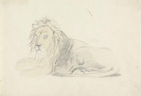 Sawrey Gilpin Study of a Lion
