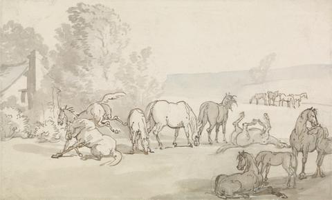 Thomas Rowlandson Mares and Foals in a Field