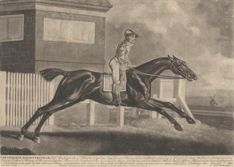 George Townly Stubbs The Terrible Horse 'Trentham'