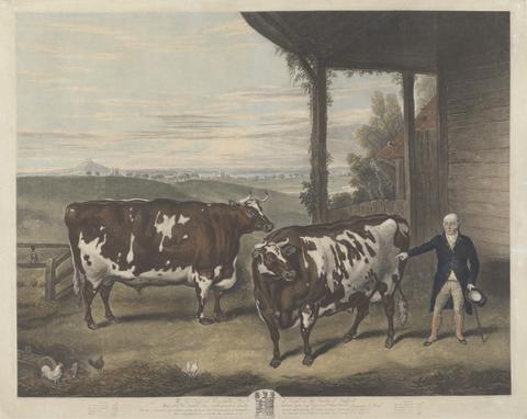 Charles Turner Two Durham Oxen