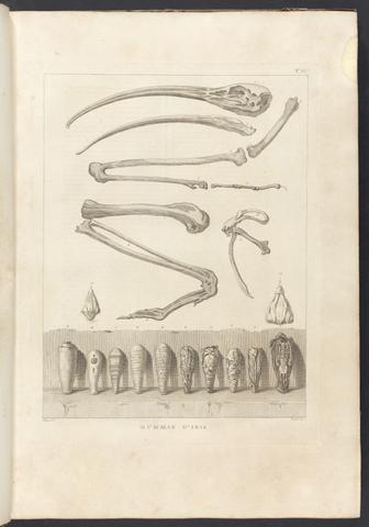 Denon, Vivant, 1747-1825. Viaggio nel Basso ed Alto Egitto,
