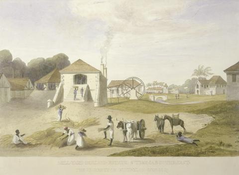 James Hakewill Mill Yard, Holland Estate, St. Thomas in the East