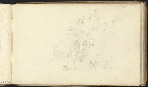 Thomas Bradshaw Album of Landscape and Figure Studies: Slight Sketch of Rocks and Leaves