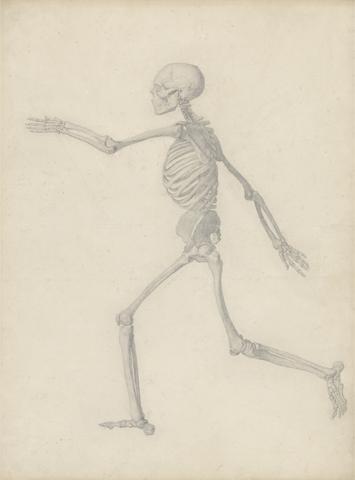George Stubbs Human Skeleton, Lateral View (Close to the Final Study for Table III But Differs in Detail)