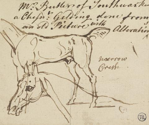 James Seymour Sketches of a Gelding