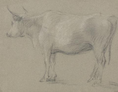 Thomas Gainsborough RA Study of a Cow