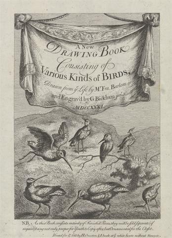 George Bickham Title page for ' A New Drawing Book...of Various Kinds of Birds, Drawn from the Life by Mr. Francis Barlow' 1731 (1 of 9)