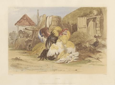 Rural Chivalry; A Series in six plates of Fighting Cocks: 4. Fire
