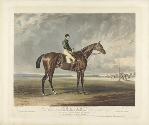 Edward Duncan Priam. The Winner of the Derby Stakes at Epsom