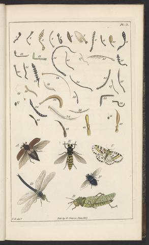 Graves, George, 1754-1839. The naturalist's pocket-book, or, Tourist's companion :
