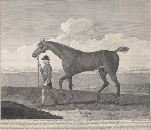 James Seymour Racing: Sedbury was for the justness of Shape the most Beautiful and ...the Best Horse of His Size at that time