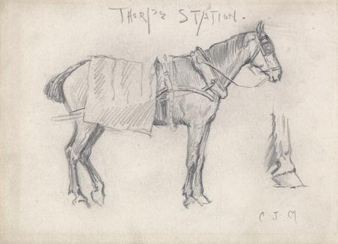 "Thorpe Station": Study of a Carriage Horse, Facing Right with a Study of a Hoof at Right