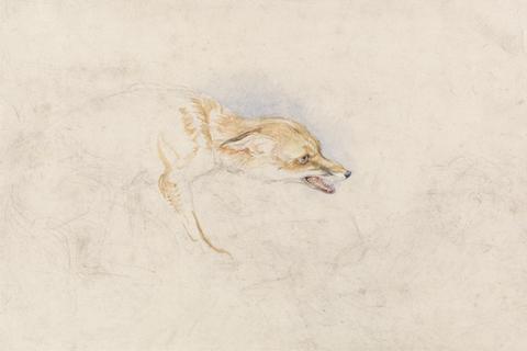 John Frederick Lewis Study of a Crouching Fox, Facing Right