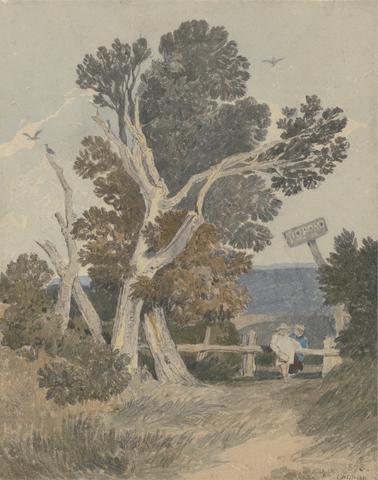 John Sell Cotman A Group of Trees by a Fence