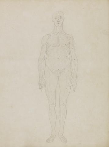George Stubbs Study of the Human Figure, Anterior View (Probably related to Table XI)