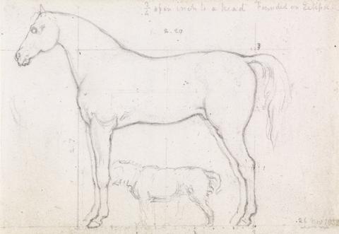 William Mulready Anatomical Study of a Horse, Founded on `Eclipse', Nov. 26, 1832