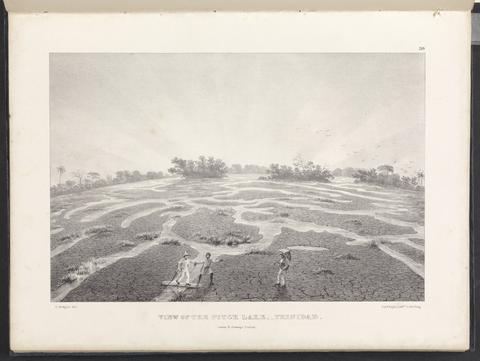 West India scenery with illustrations of Negro character, the process of making sugar, &c. from sketches taken during a voyage to, and residence of seven years in, the island of Trinidad. By R. Bridgens ...
