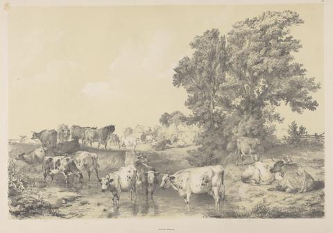 Thomas Sidney Cooper Landscape with Cows