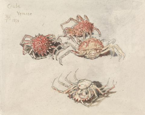 Myles Birket Foster Studies of Spider Crabs, Venice