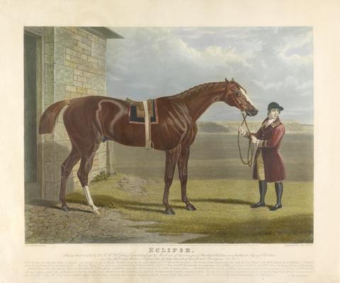 Charles Hunt 'Eclipse' / 'He was bred in 1764, by H.R.H. Wm. Cuke of Cumberland, got by Marsk, son of squirt, a son of Gartletts Childers, own brother to Flying Childers...