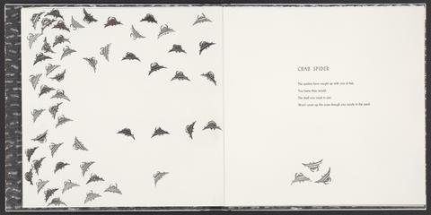 Antmothbeetlemillipedespider / poems [by] Gabriel Gbadamosi ; etchings [by] Mandy Bonnell.