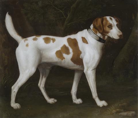 George Stubbs A Dog, 'Property of the Earl of Chatham'