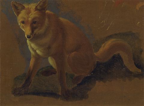 Jacques-Laurent Agasse Study of a Fox
