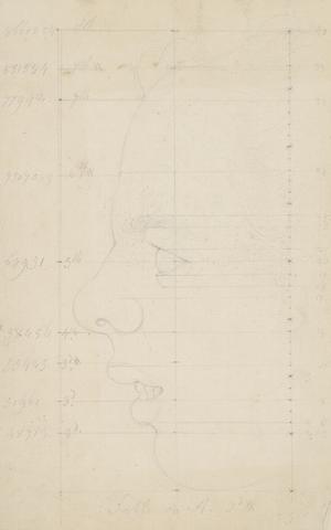 Giles Hussey Study of physiognomy of face