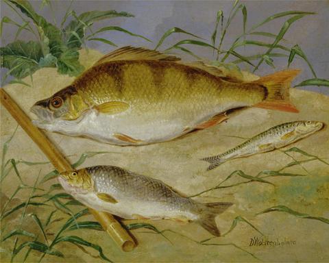 Dean Wolstenholme An Angler's Catch of Coarse Fish