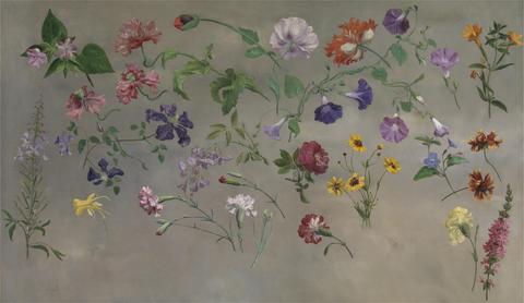 Jacques-Laurent Agasse Studies of Flowers