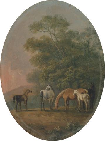 Sawrey Gilpin Mares and Foals