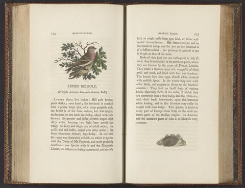 Bewick, Thomas, 1753-1828. History of British birds.