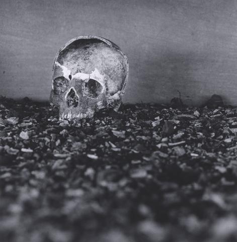 Michael Kenna Skull and Bone Fragments, Study 1, Stutthof, Poland