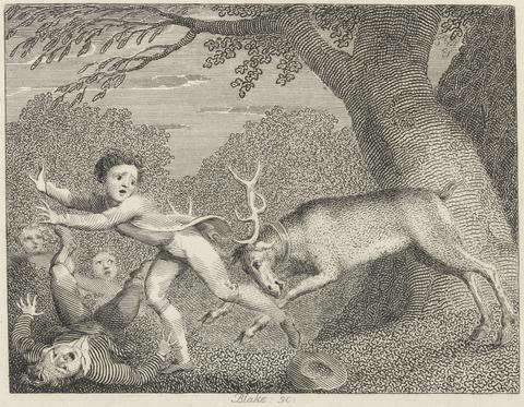 William Blake The Tame Stag