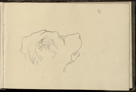 William Brockedon Sketch of a Dog's Head