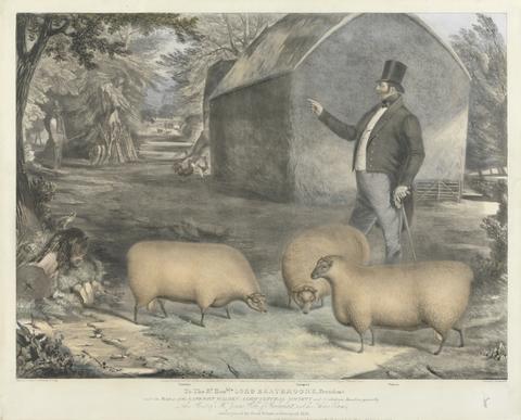 John West Giles Mr. Jonas Webb, of Babraham, and his Three Rams