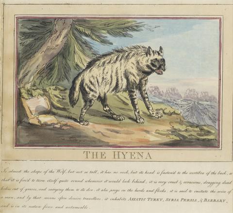 Thomas Rowlandson Set of eight with title-page. 'Foreign and Domestick Animals.' 6. The Hyena