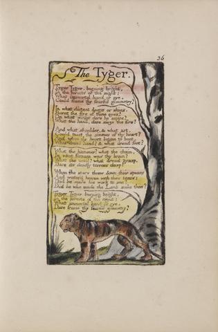 William Blake Songs of Innocence and of Experience, Plate 36, "The Tyger" (Bentley 42)