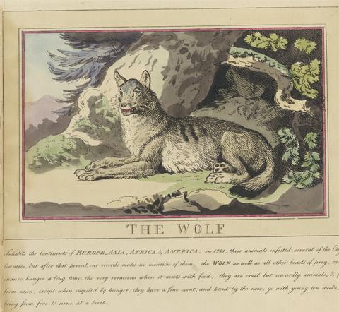 Thomas Rowlandson Set of eight with title-page. 'Foreign and Domestick Animals.' 5. The Wolf