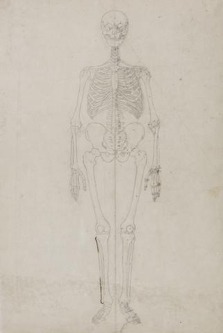 George Stubbs Human Skeleton, Anterior View (Final study)