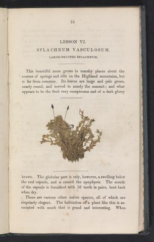 Gardiner, William, 1809?-1852. Twenty lessons on British mosses, or, First steps to a knowledge of that beautiful tribe of plants /