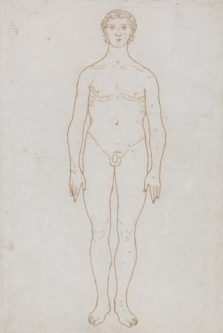 George Stubbs Study of the Human Figure, Anterior View (Outline Drawing for Table VI)