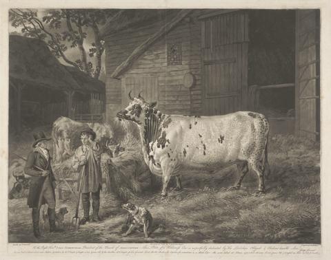 William Ward [No. 5] Prints / of the / Improved British Cattle: Holderness Cow / Taken from His Majesty's Stock at Windsor