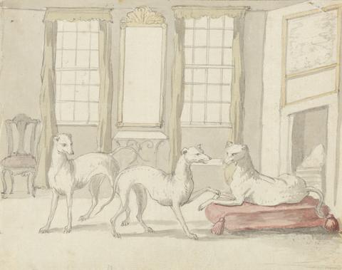 Peter Casteels Three Greyhounds in a Room